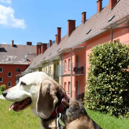 Pfaffenstein.15 Apartment